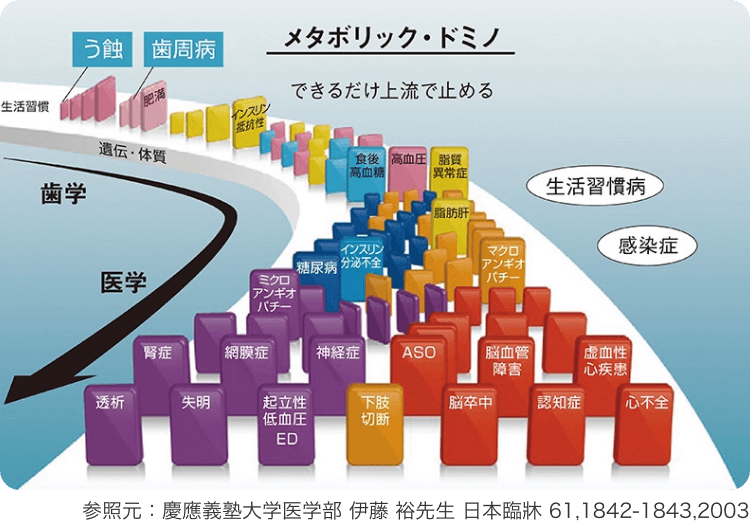 予防歯科によりむし歯や歯周病を防ぎ、お口の健康から全身の健康を