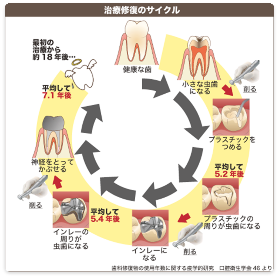 治療修復のサイクル