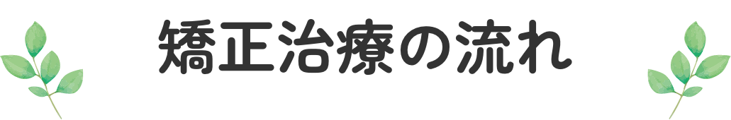 矯正治療の流れ